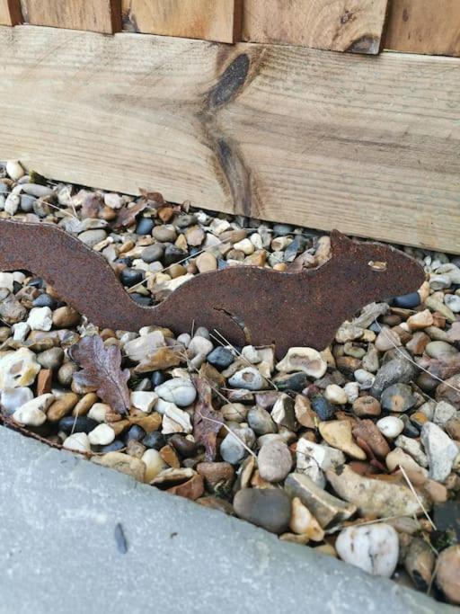 The Squirrels- Alresford, Essex Apartment Exterior foto