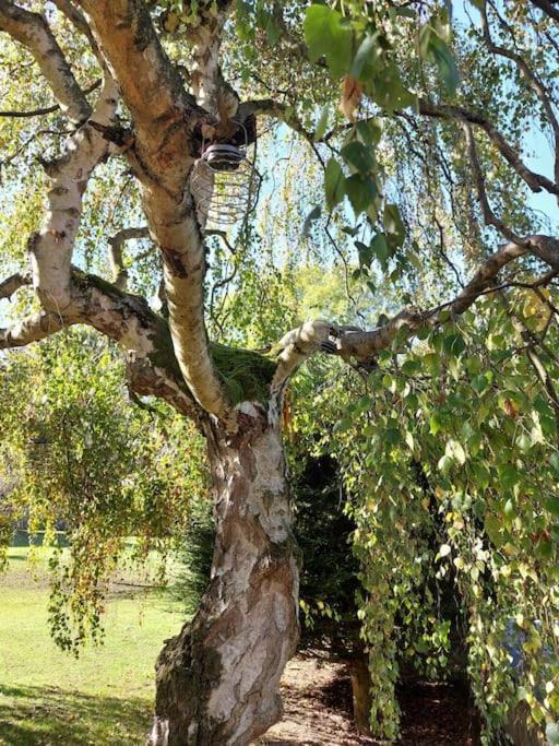 The Squirrels- Alresford, Essex Apartment Exterior foto